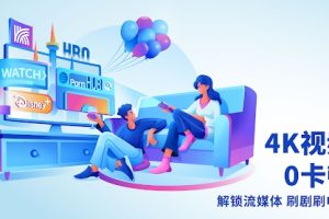 快连VPN 如何设置安全 DNS？
