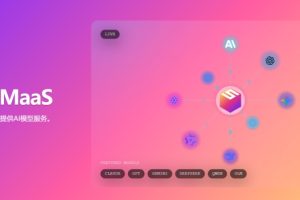 快连VPN 如何切换应用语言?